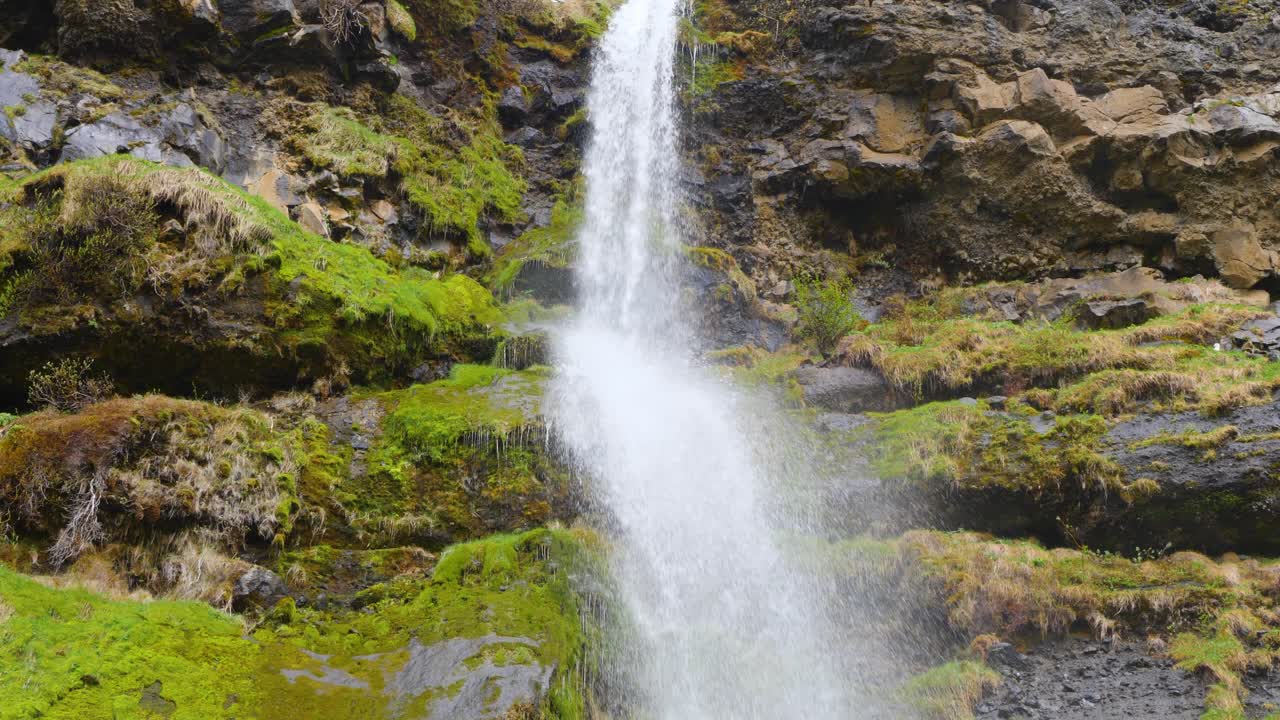 pájaro volando mientras el agua está cayendo sobre el musgo verde forma una cascada
