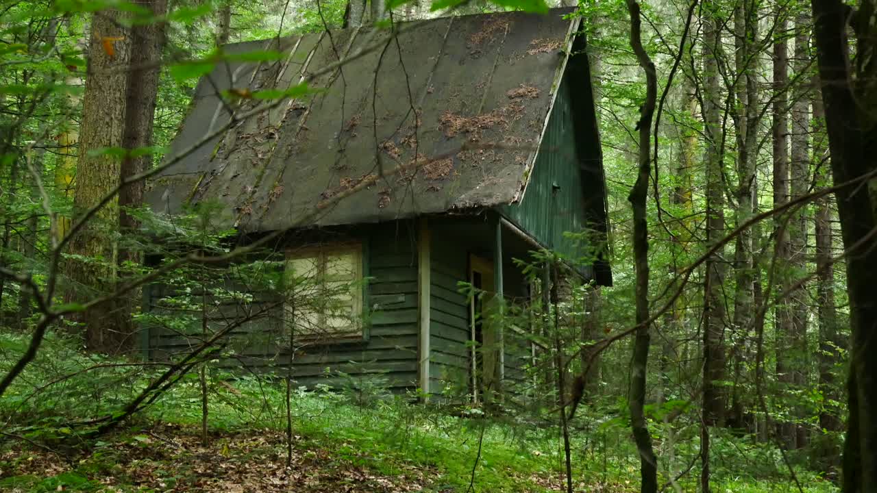 tiro inclinado hacia arriba de una casa de madera abandonada en un bosque profundo