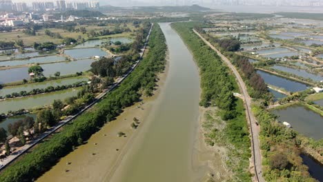 mai po nature reserve and wetlands, hong kong, aerial view