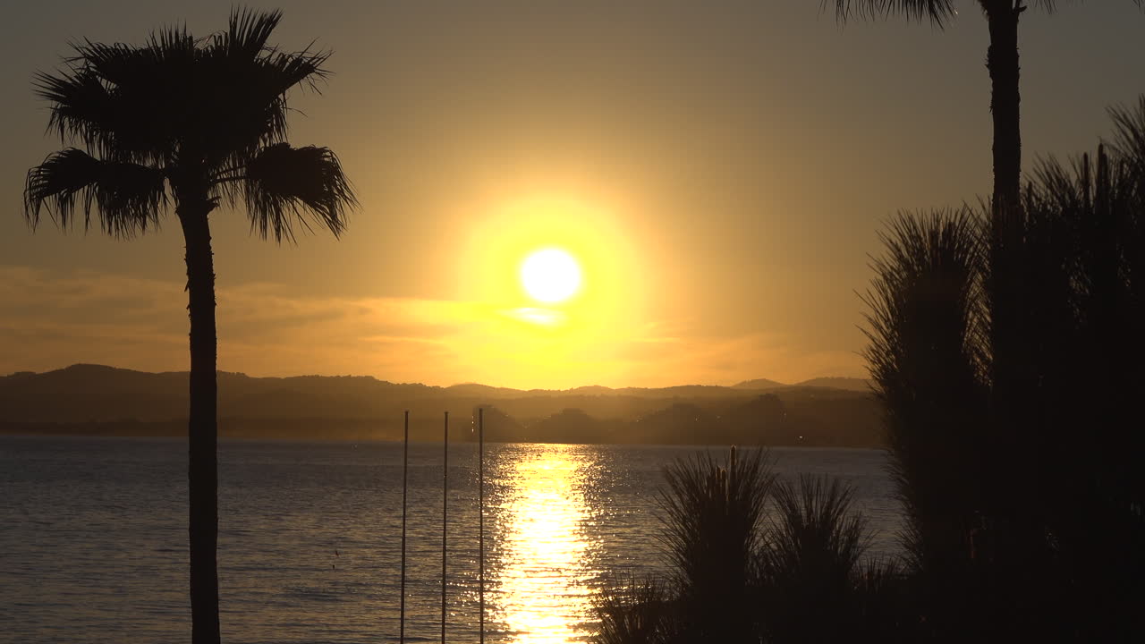 View of palm trees on the beach with the sunset reflecting on the sea