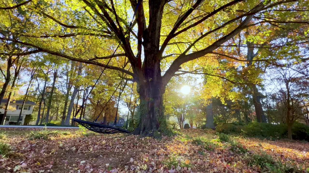 Empty Swing, Children, Depiction of Missing Child