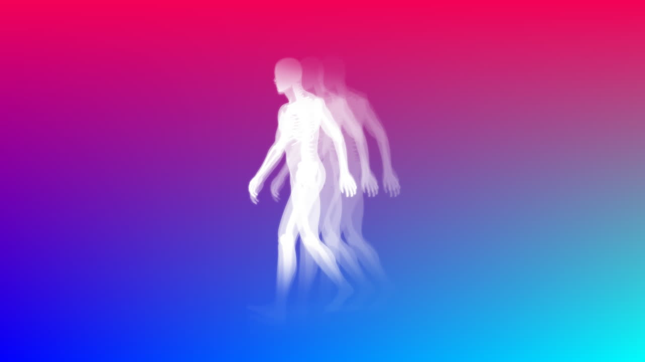 estudio de un cuerpo humano