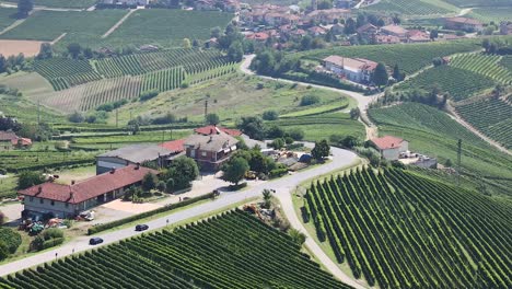 aerial view of vineyards and houses