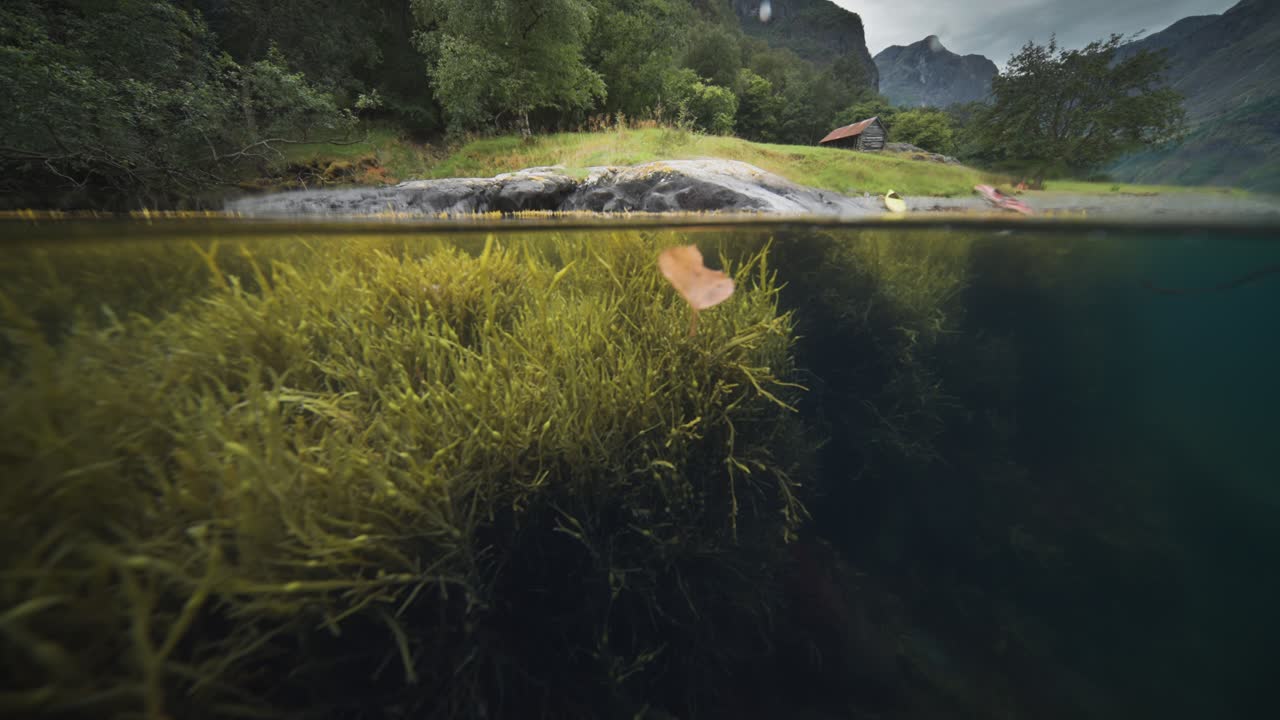 un video bajo el agua