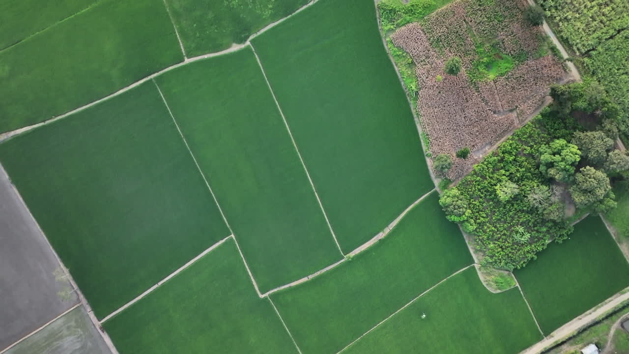 visión general de los drones campos verdes y marrones formas geométricas paisaje exuberante
