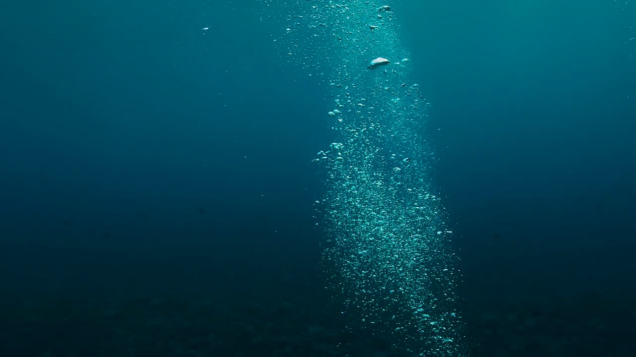 바다의 수중 거품은 열대 푸른 바다에서 표면으로 떠다닙니다.