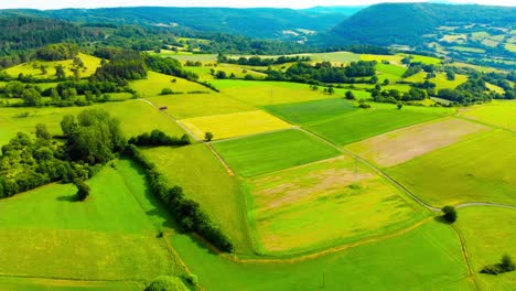 aerial drone view of lush green summer fields