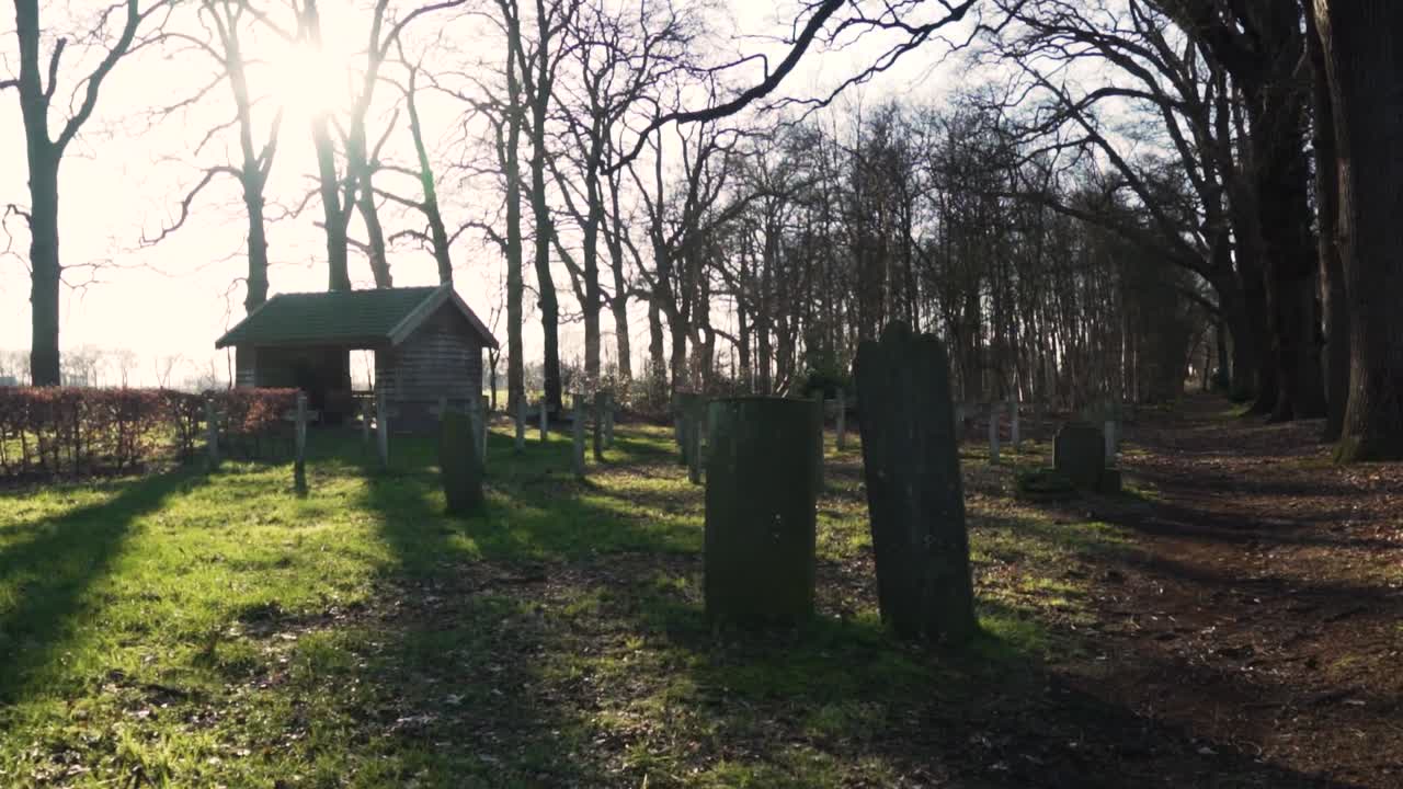 cementerio iluminado por el sol en un bosque