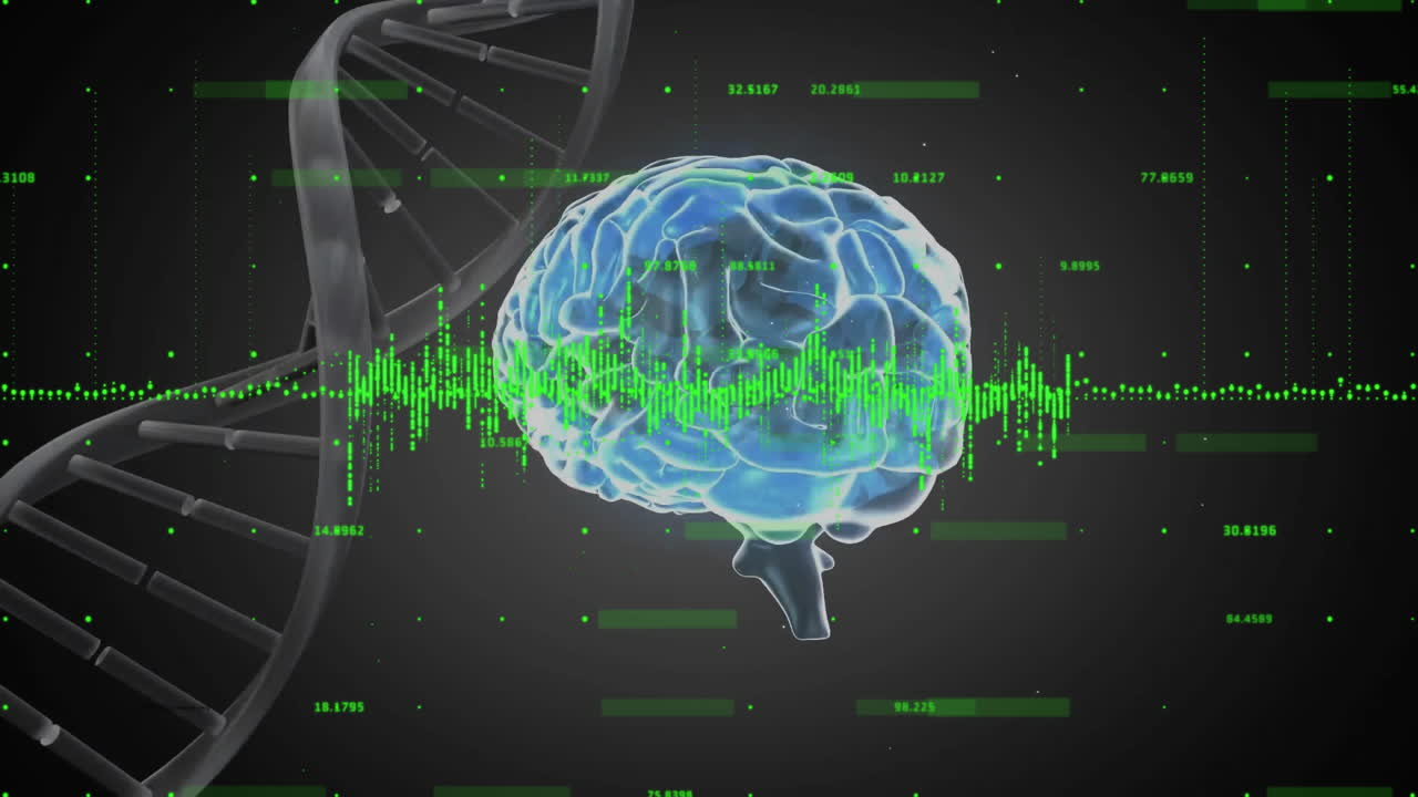 animación del procesamiento de datos sobre la cadena de adn y el cerebro humano
