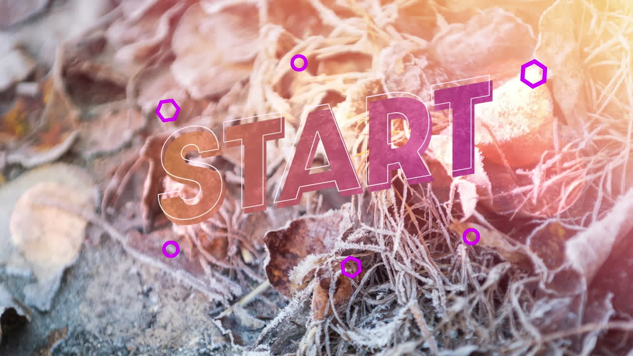 animación del texto de inicio sobre las plantas cubiertas de nieve