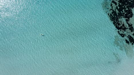 Top-down-drone-view-of-stand-up-paddle-board-along-the-shallow-waters-of-Menorca