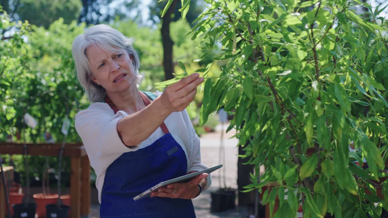 A senior woman gardening
