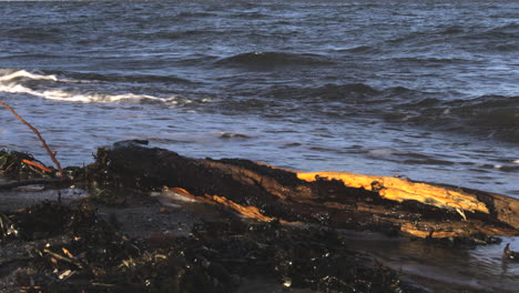 in-stormy-weather-are-high-waves-on-the-Baltic-Sea