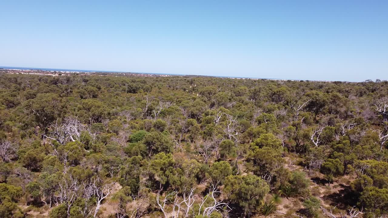 Panoramica a sinistra sulla boscaglia con l'oceano sullo sfondo, Joondalup, Perth, Australia