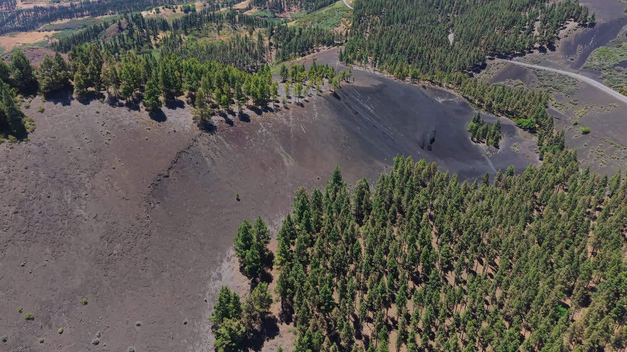 Aerial view of the Black Mountain (Montañon Negro) and a Canarian pine forest in Gran Canaria, Canary Islands