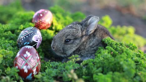 cute fluffy bunny and wicker basket with colourful easter