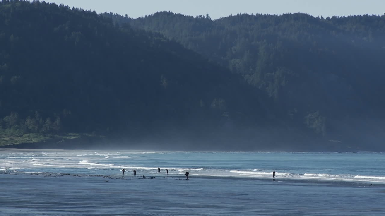 las olas del mar llegan a una playa en oregon o en el norte de california 1