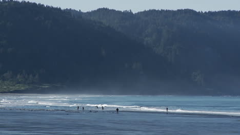 las olas del mar llegan a una playa en oregon o en el norte de california 1