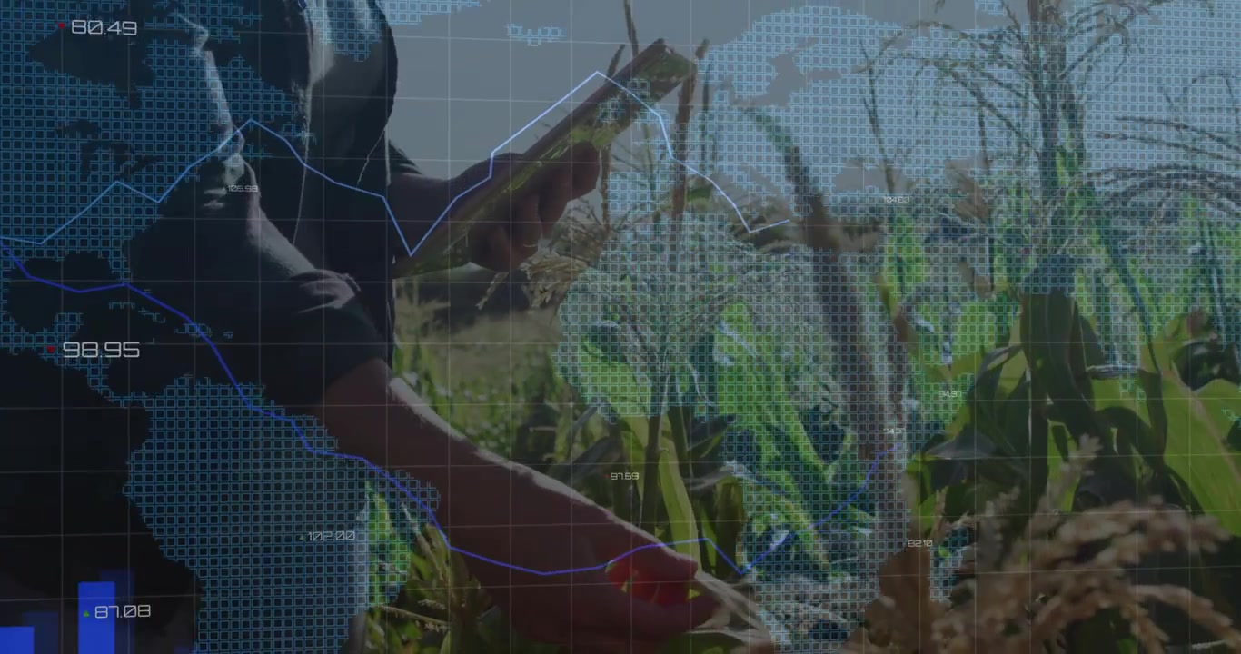 Woman farmer tapping tablet in rows, causing ag analytics monitoring crops, blue bars, dotted map