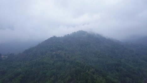 Toma-Aérea-De-Bosque-Y-Colina-En-El