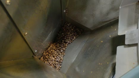 watch coffee beans being processed in a factory showcasing the grinding action in an industrial setting.