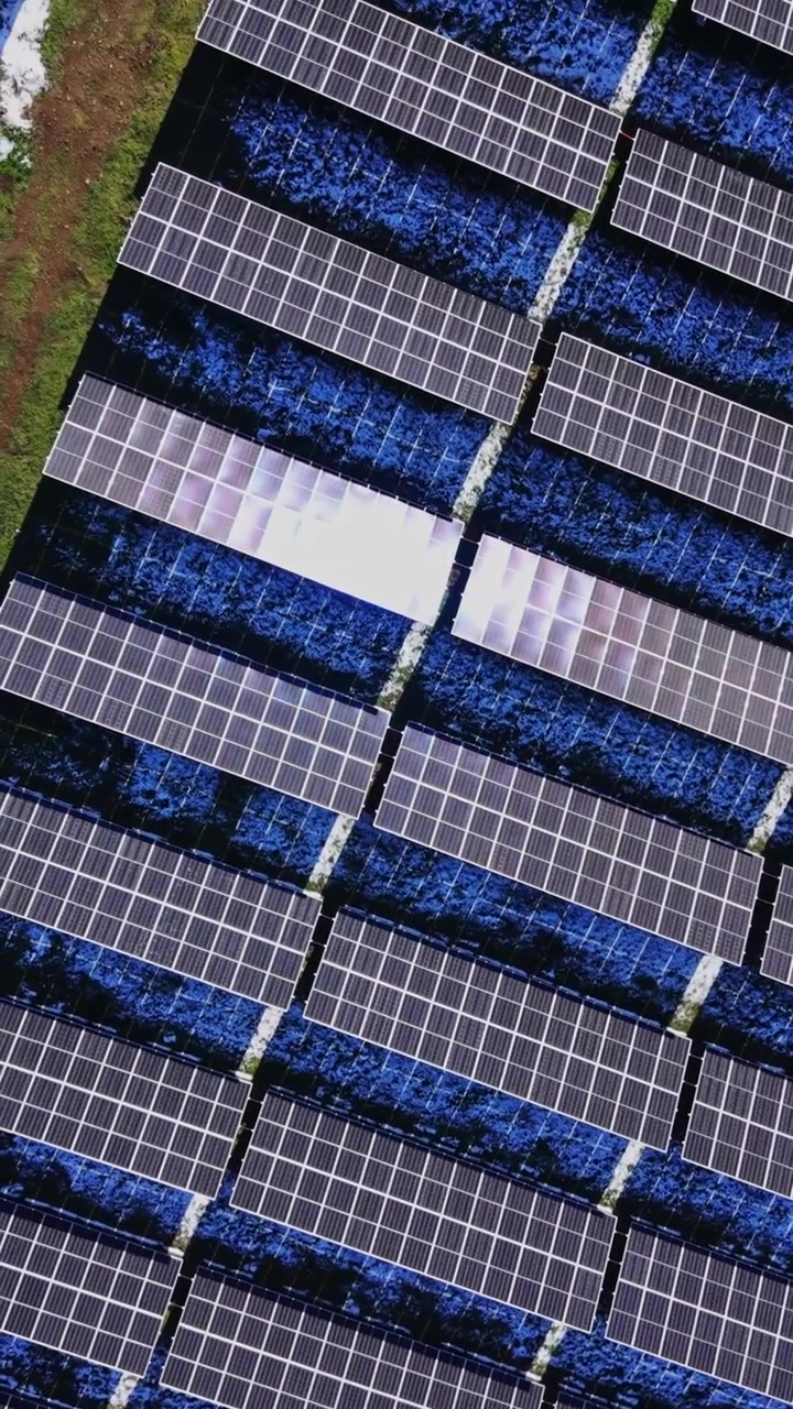 Pannelli solari coprono il terreno in un progetto di energia rinnovabile sotto la luce solare intensa.