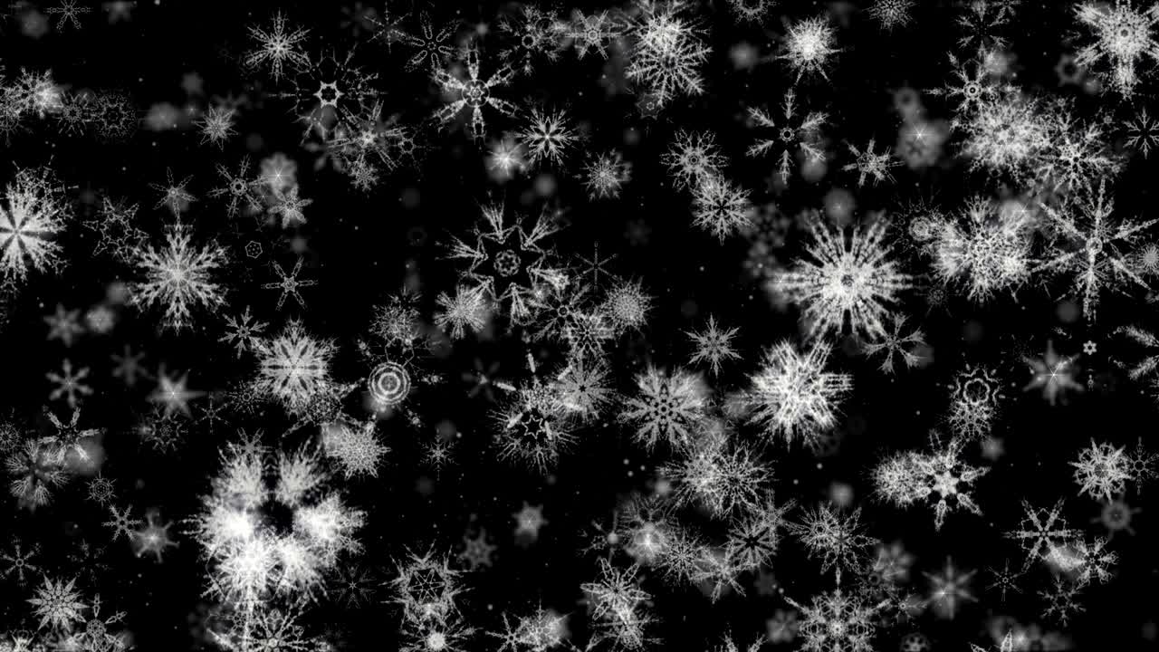 Vakker snø 4 - Svart bakgrunn vintervideo loop