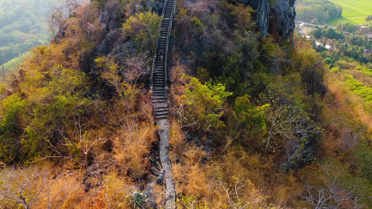 Hiking on a narrow path in the forest with an array of colored trees with a view