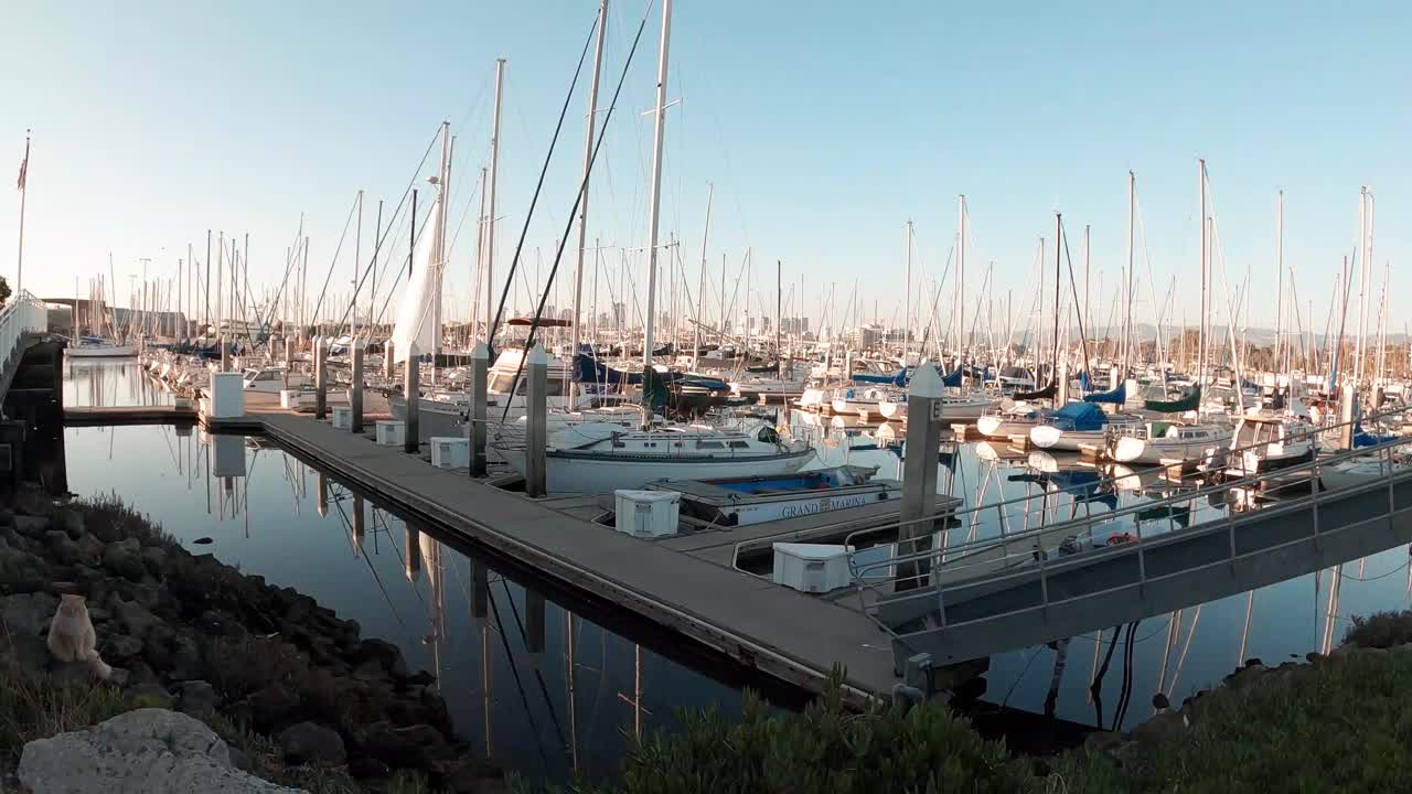 A lazy day in the marina as the glassy waters slap the boats.