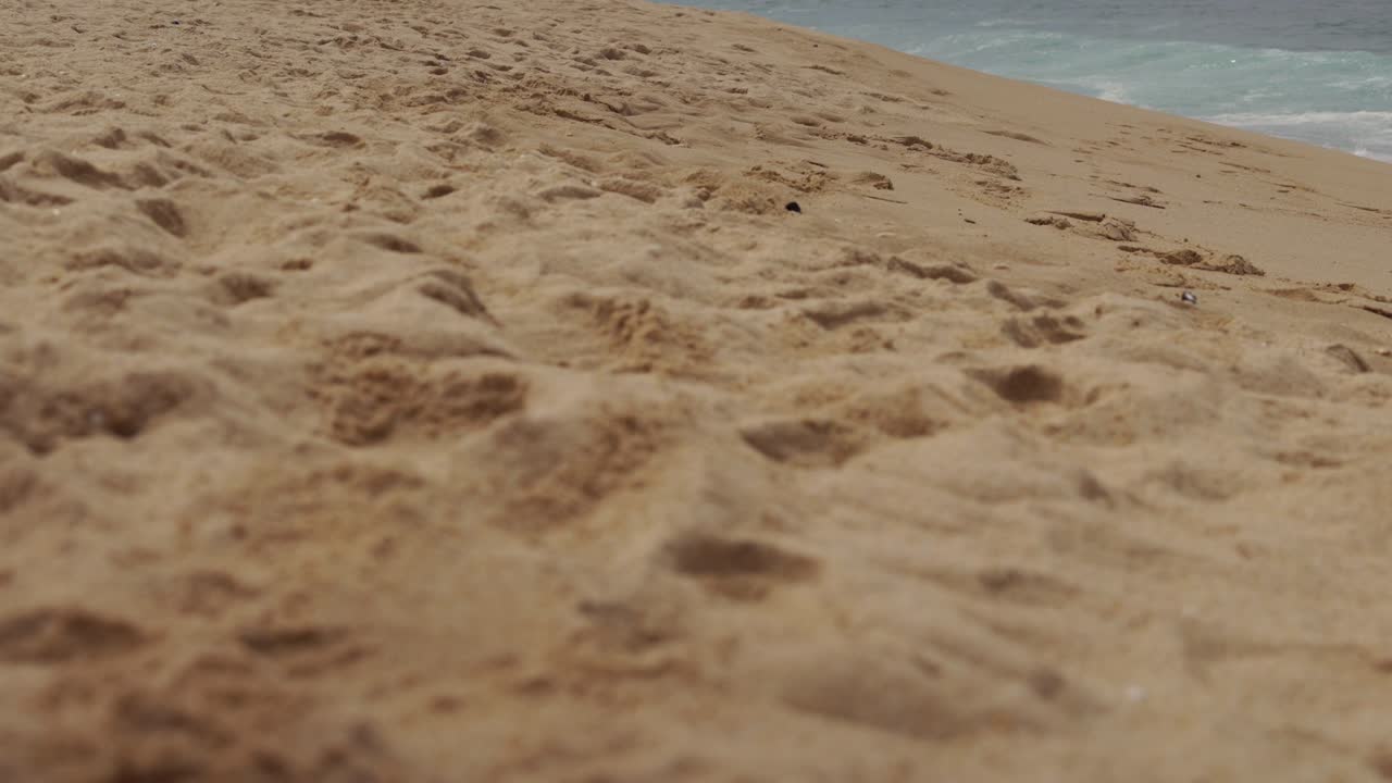 Barefoot walking on the sandy beach