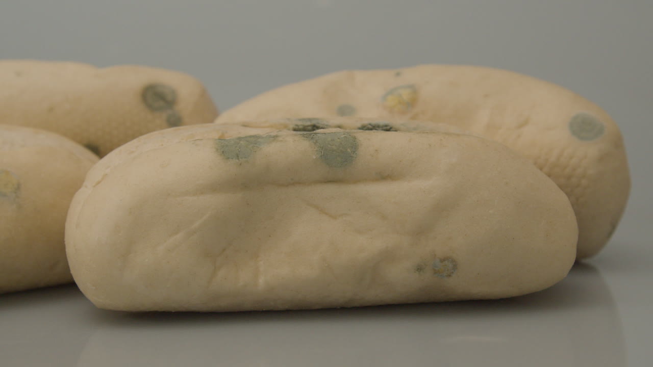 куколка из пятен зеленой плесени на сэндвиче с фистолетом