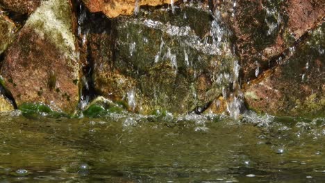 Entspannender-Seerosenteich-Mit-Felsenwasserfall-Aus-Sauberen-Wassertropfen,-Die-Vom-Brunnen-über-Den-Rand-Laufen