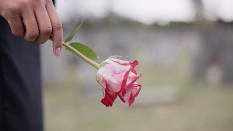 Tod,-Friedhof-Und-Hände-Einer-Person-Mit-Blume