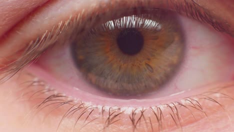 4k macro shot of an eye in slow motion, looking into the camera