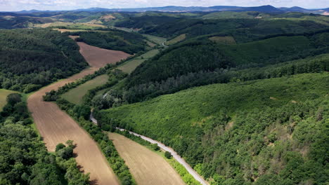 Viaje-Por-Carretera-A-Través-De-Un-Bosque-Día-Soleado