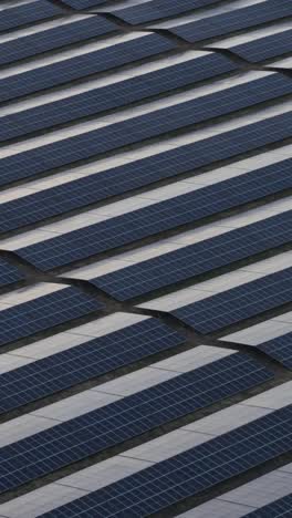 top-down vertical drone perspective of a clean energy solar farm in bulgaria. soft sunset colors highlight the theme of sustainability and technological progress.