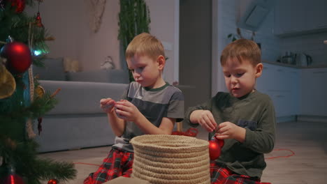 two boys 3-5 years old together decorate the christmas tree before christmas. together decorating the house. high quality 4k footage