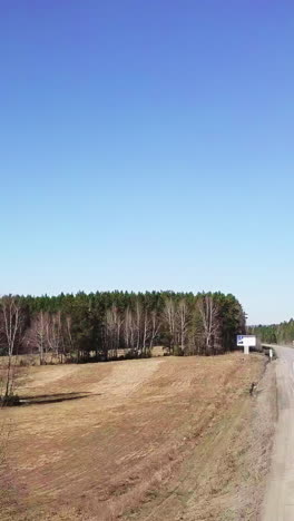 country road and forest scenery