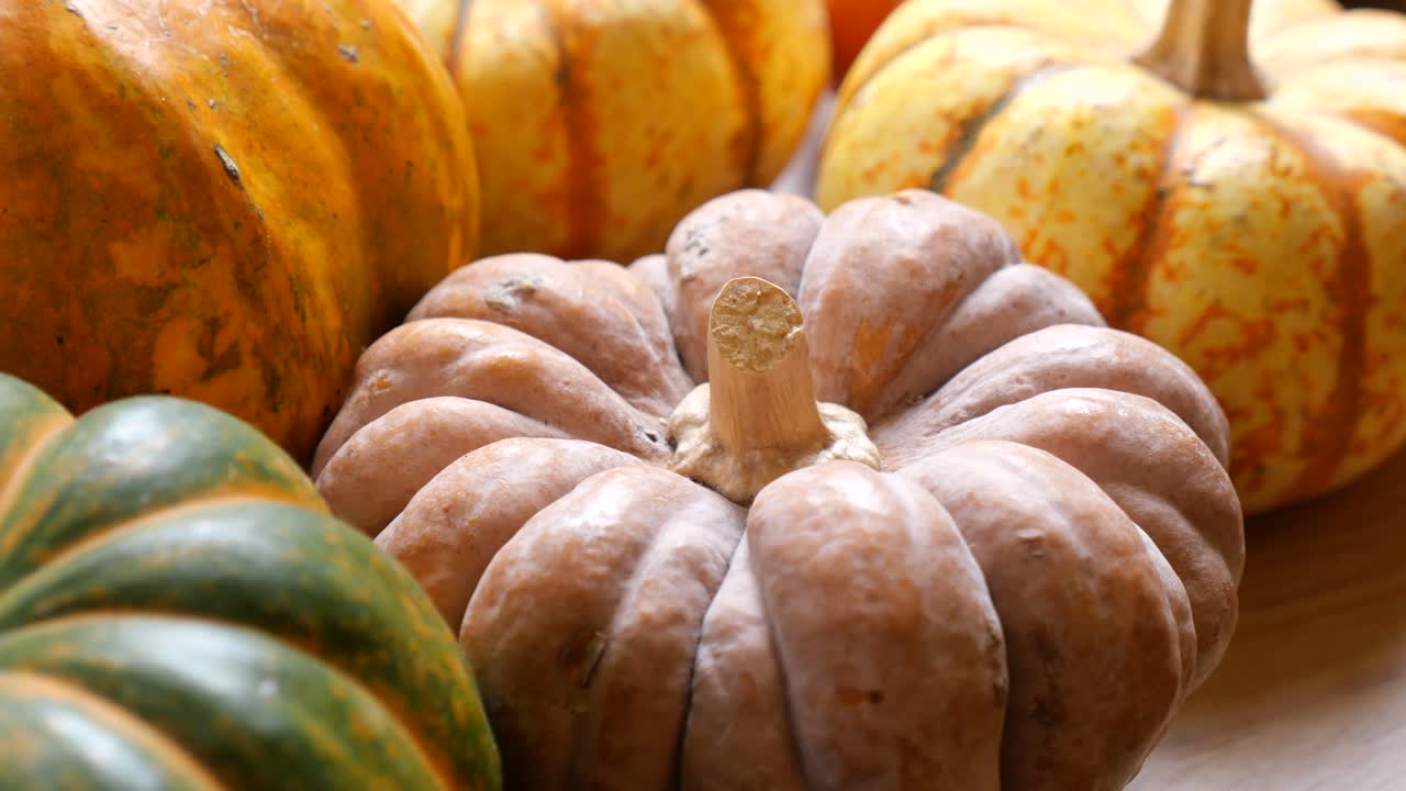 Zucche e zucchette ornamentali colorate su una superficie di legno.