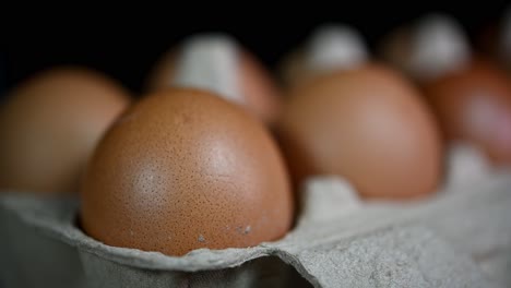 camera zooms out a dozen of eggs and one in particular in the front, eggs in a paper tray, food and cooking