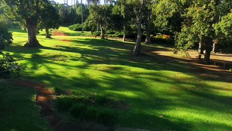 de las zonas de parques