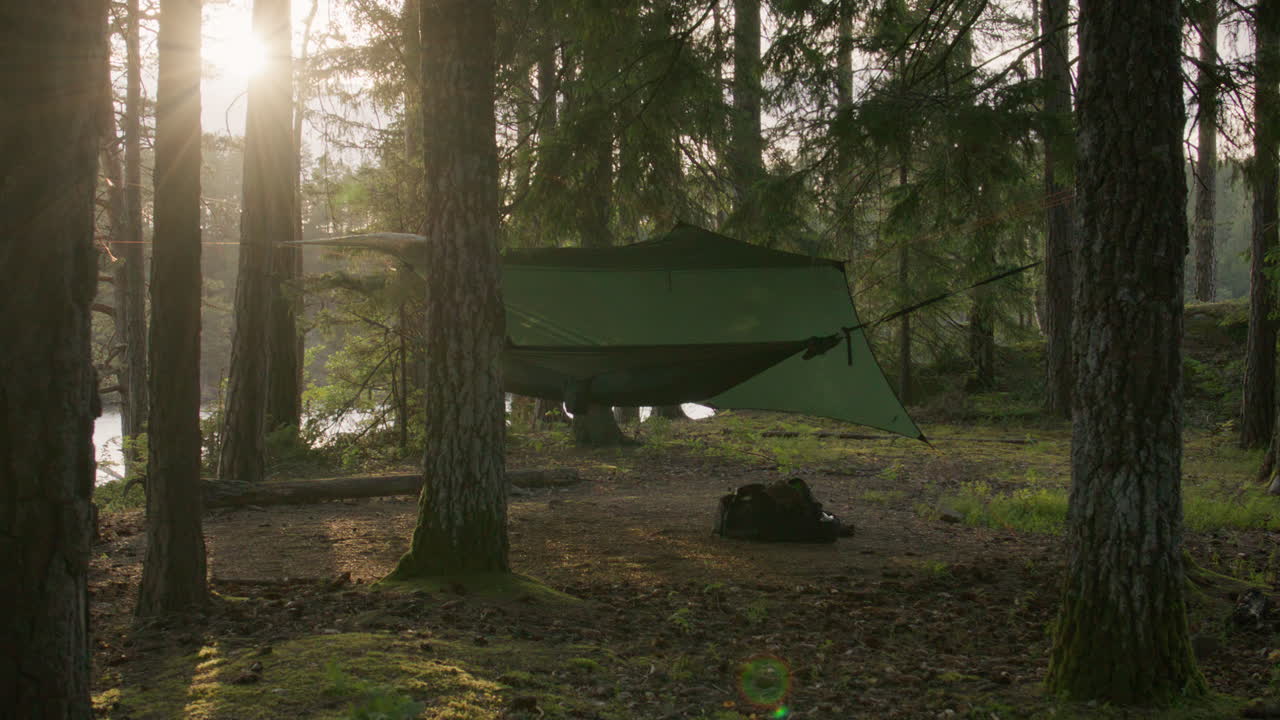 Tidy green hammock and tarp setup in pine forest campsite beside a calm lake, bathed in golden hour light with glowing trees and soft moss underfoot, evoking peace and stillness in the wilderness