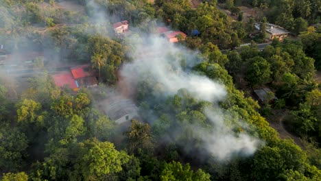humo de fuego bajo el árbol aldea malavan en verano puede secar la tierra incendio forestal