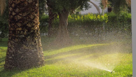 Aspersor-De-Césped-Regando-La-Hierba-En-El-Jardín