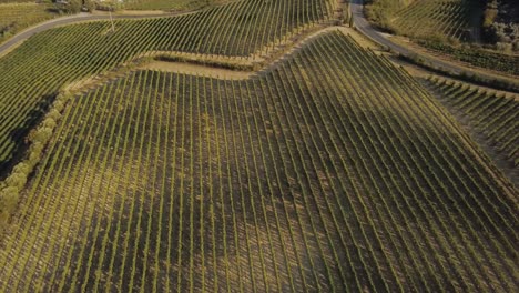 Langsam-Kippende-Drohne-Geschossen-über-Weinfeldern-Und-Straßen-In-Der-Toskana,-Italien-4k