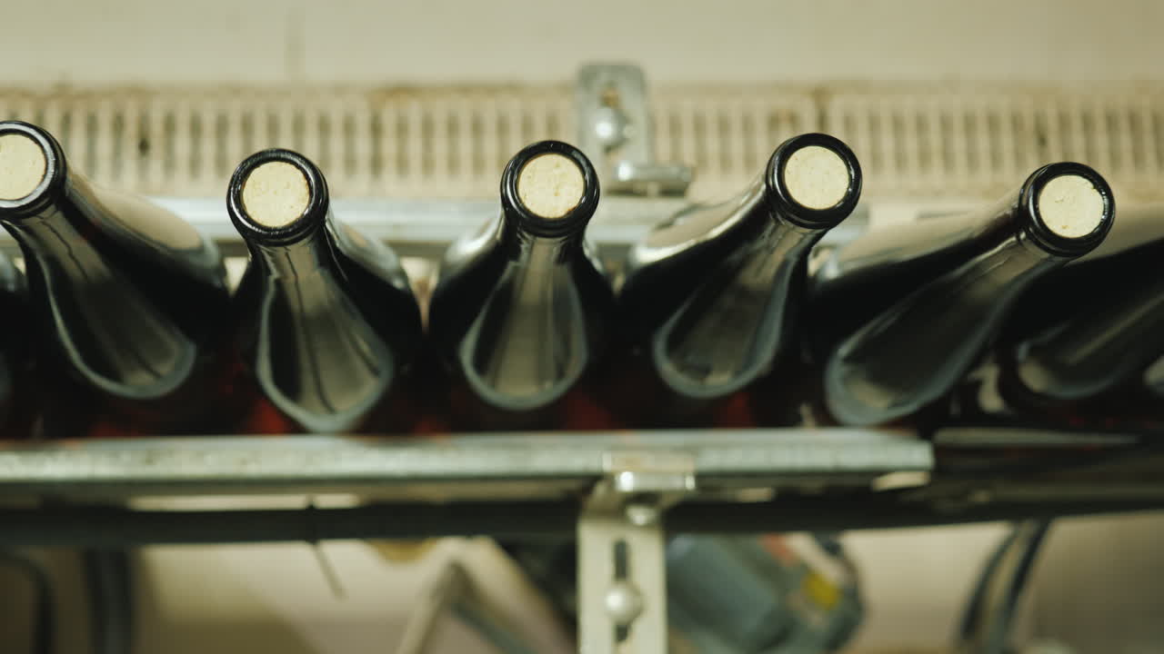 코르크 스토퍼로 닫힌 와인 병은 위에서 컨베이어 벨트 보기를 따라 이동합니다.