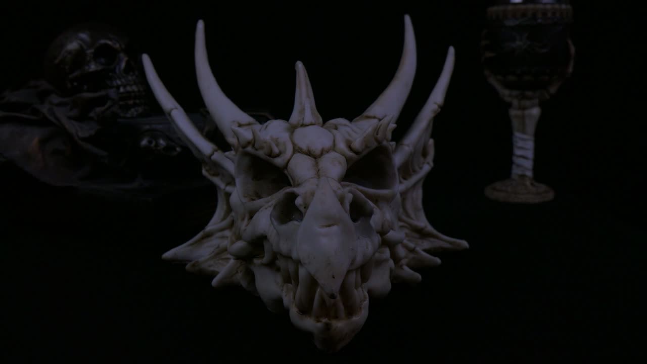 판타지 뼈 드래곤 두개골의 제품 촬영