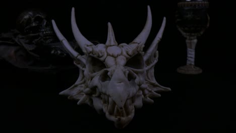 product shoot of fantasy bone dragon skull