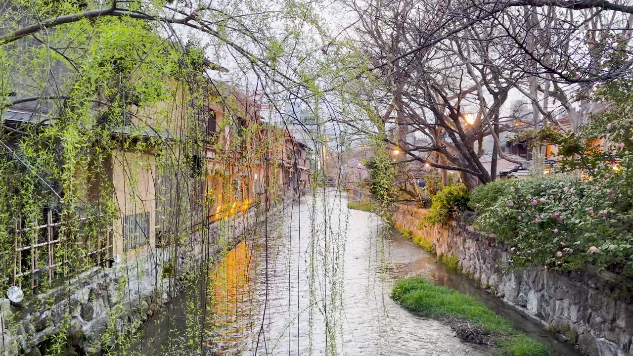 穏やかな運河の水面に歴史的建造物と柳の木が映る、静止したワイドショット。