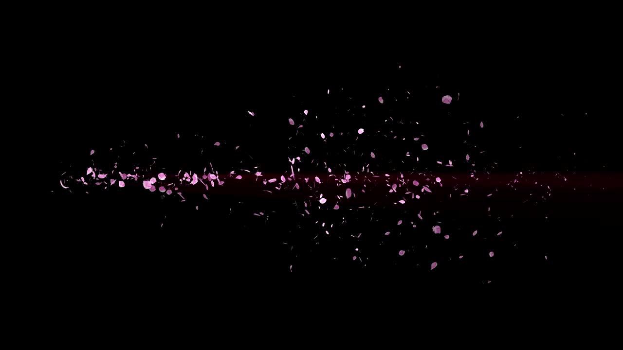 꽃의 나선형 반이는 입자, 사쿠라 패턴, 일본의 꽃 춤, 분홍색 꽃잎의 소용돌이, 추상적인 루프 애니메이션.